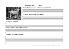 Guanako-Fragen-1.pdf